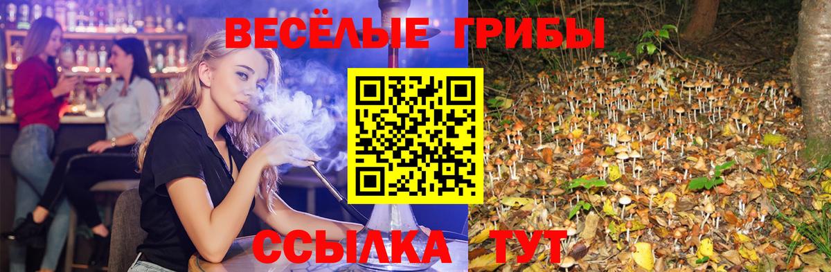 Галлюциногенные грибы Psilocybine cubensis  Вход с VPN  купить наркотики сайты  Лениногорск  Галлюциногенные грибы Magic Shrooms 